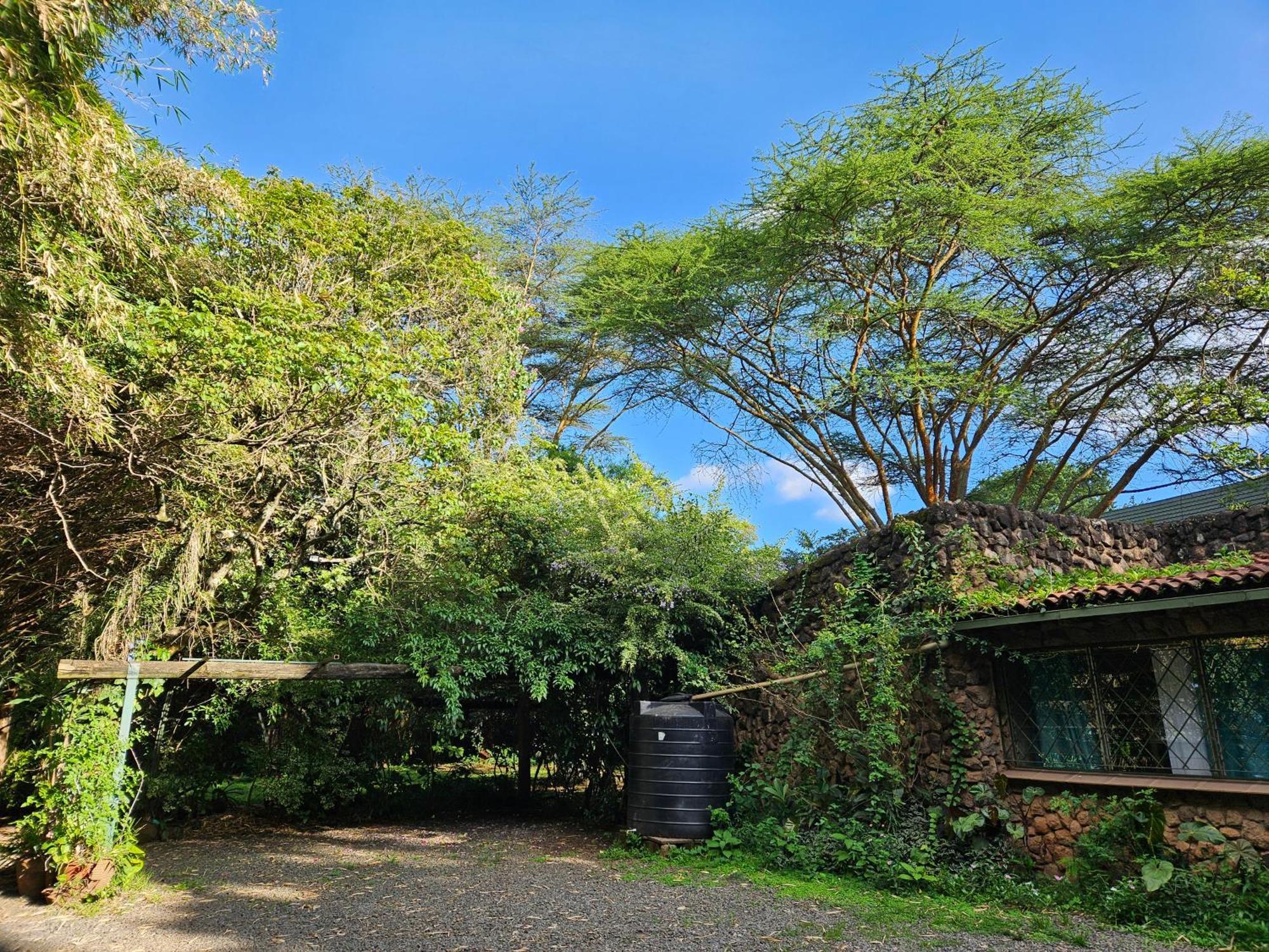 Mad Vervet Nairobi Backpackers Hostel Bagian luar foto